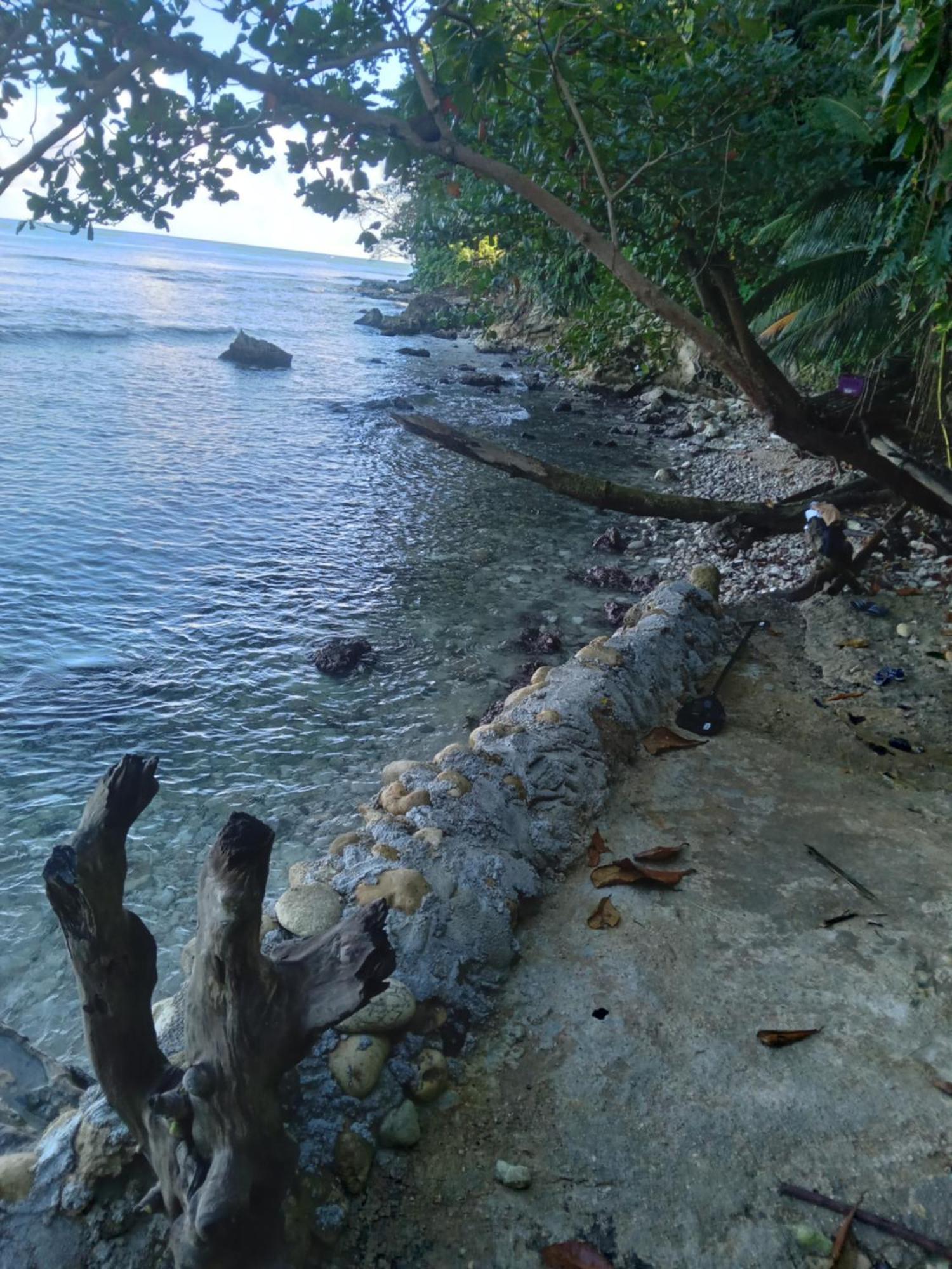 Hotel Barracuda Beach Port Antonio Exteriér fotografie