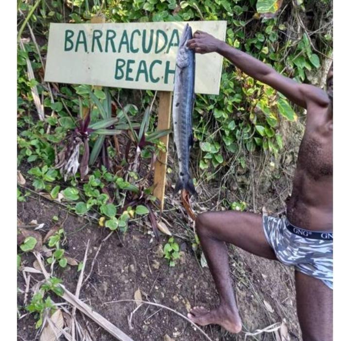 Hotel Barracuda Beach Port Antonio Exteriér fotografie